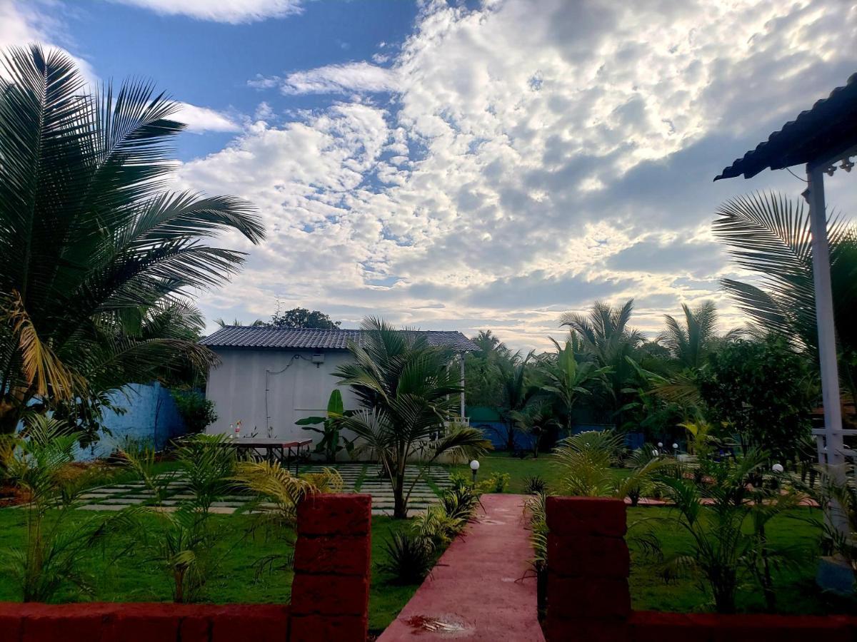 White Truffle Resort, Arambol Exterior photo