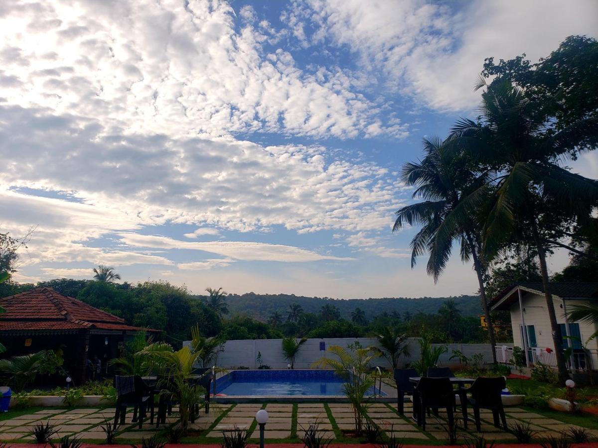White Truffle Resort, Arambol Exterior photo