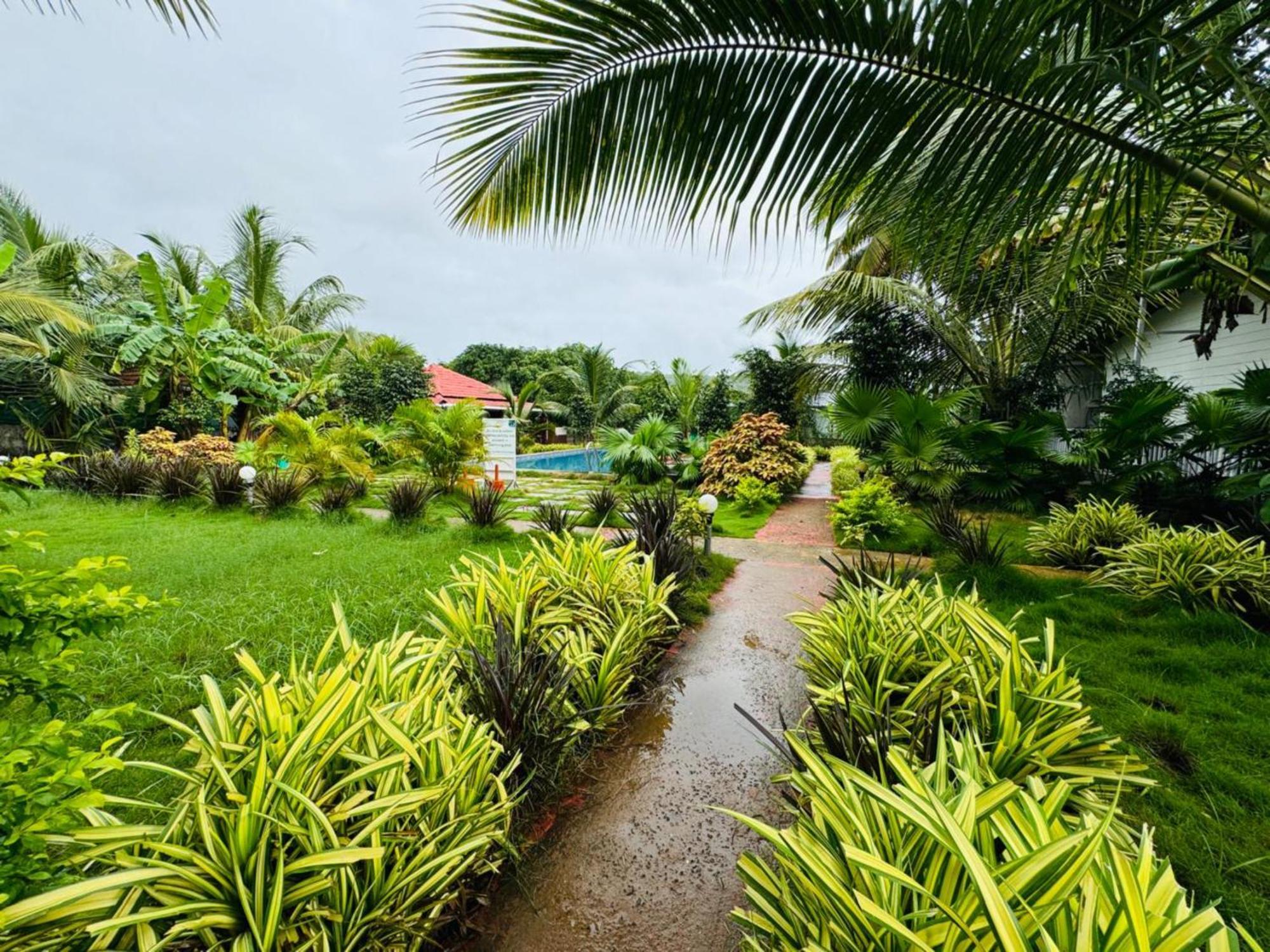 White Truffle Resort, Arambol Exterior photo