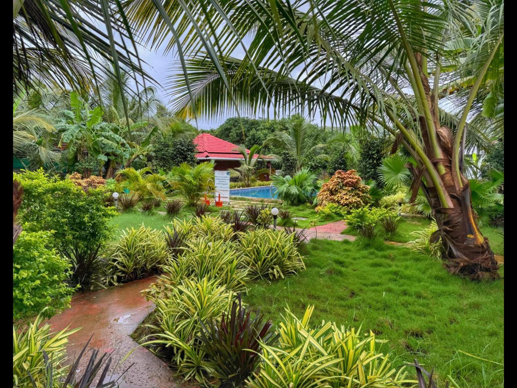 White Truffle Resort, Arambol Exterior photo