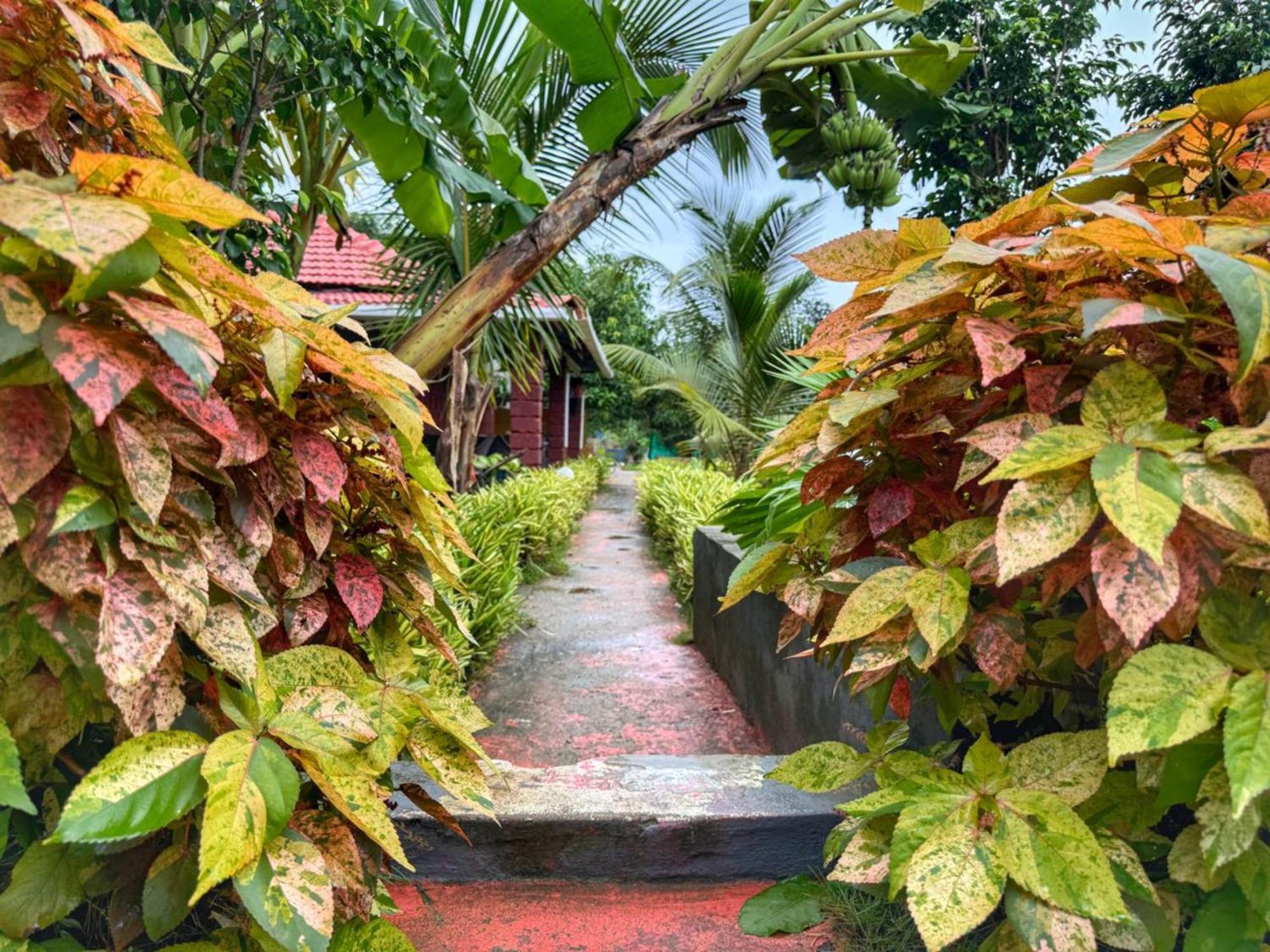 White Truffle Resort, Arambol Exterior photo